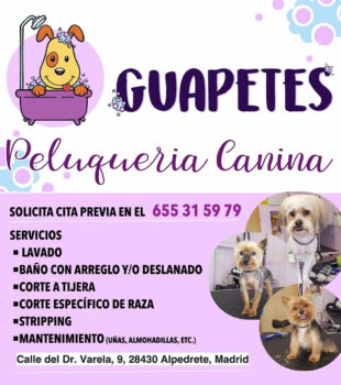 GUAPETES Peluqueria Canina